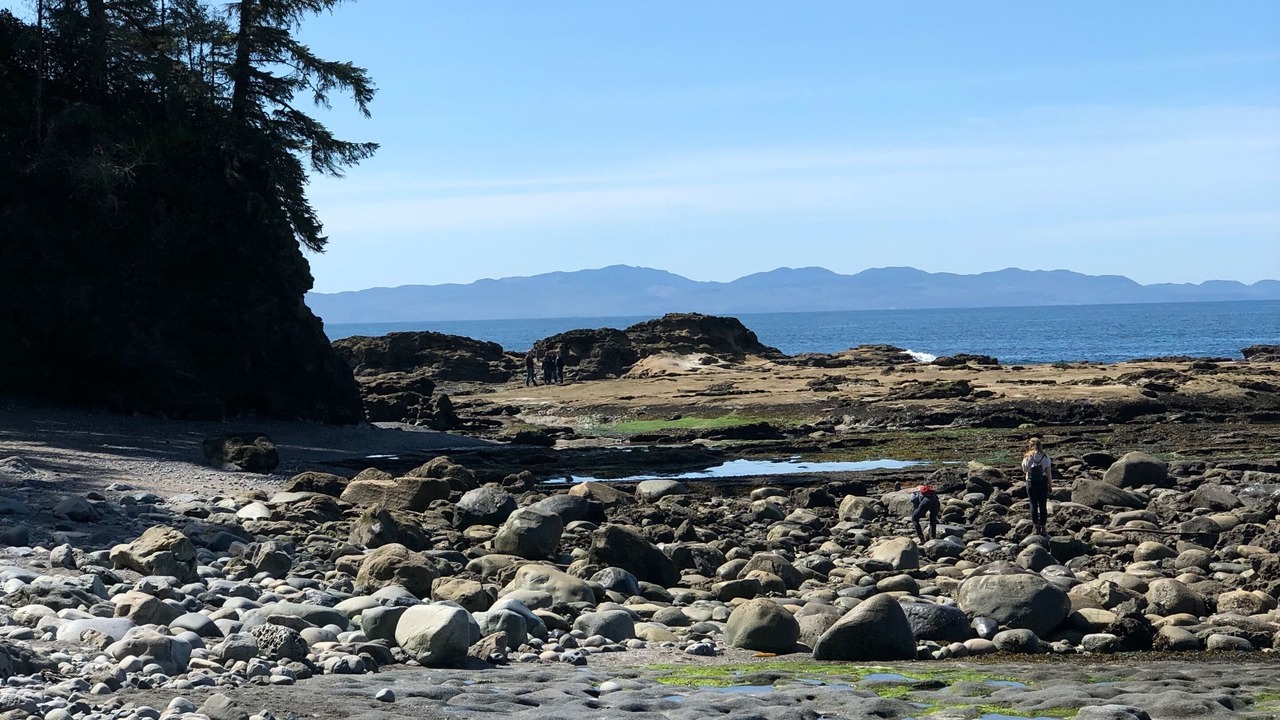 Photo of Others in Port Renfrew