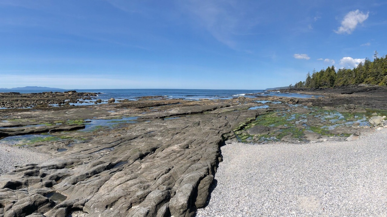 Photo of Others in Port Renfrew