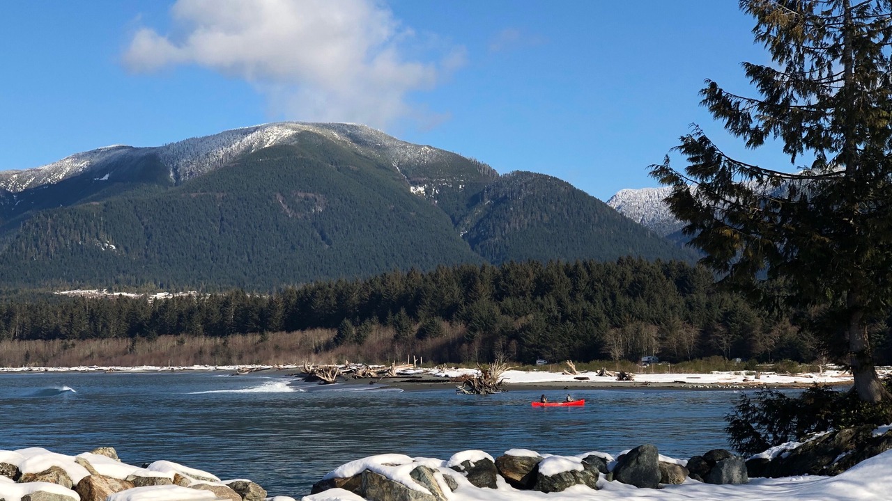 Photo of Others in Port Renfrew