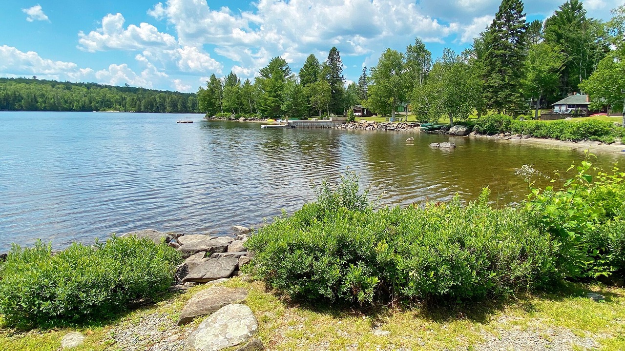 Photo of Others in Rangeley