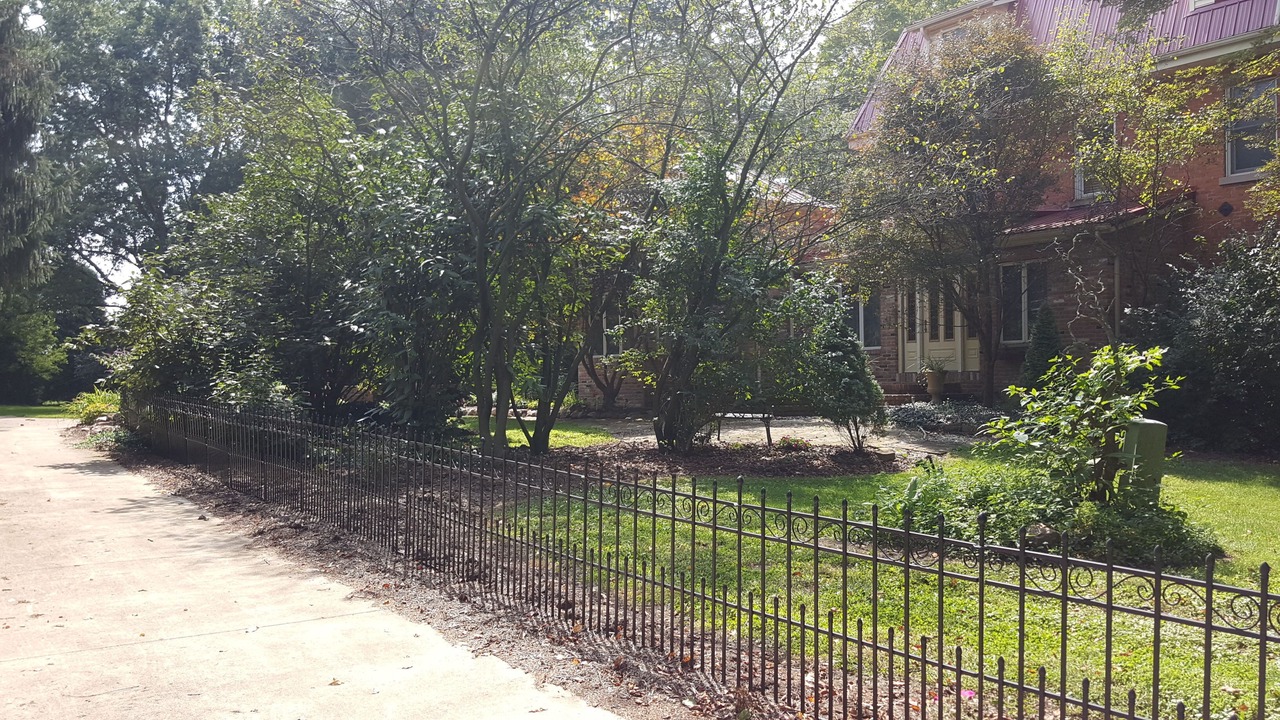 Photo of Outdoor in Homerville