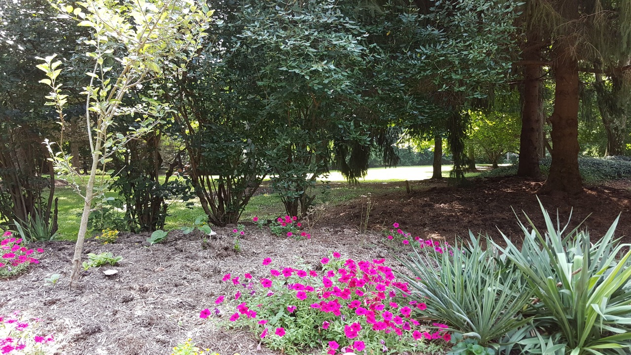 Photo of Outdoor in Homerville