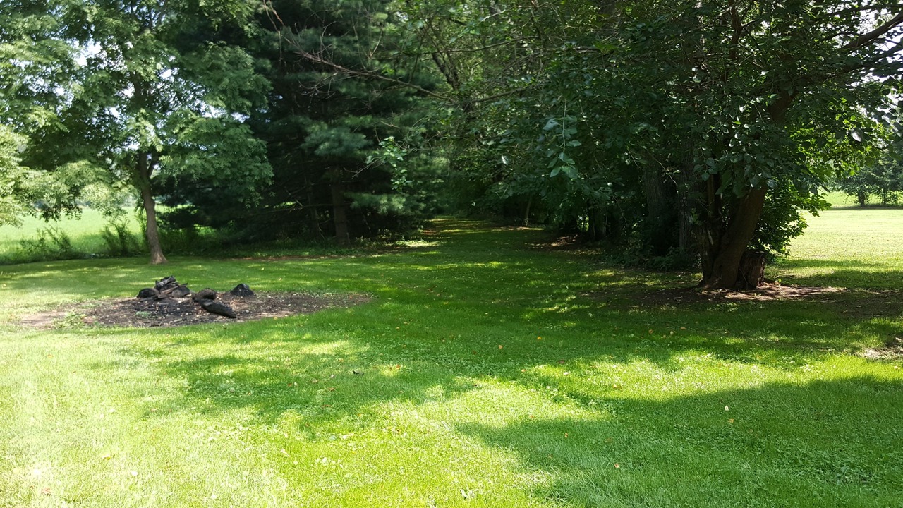 Photo of Outdoor in Homerville