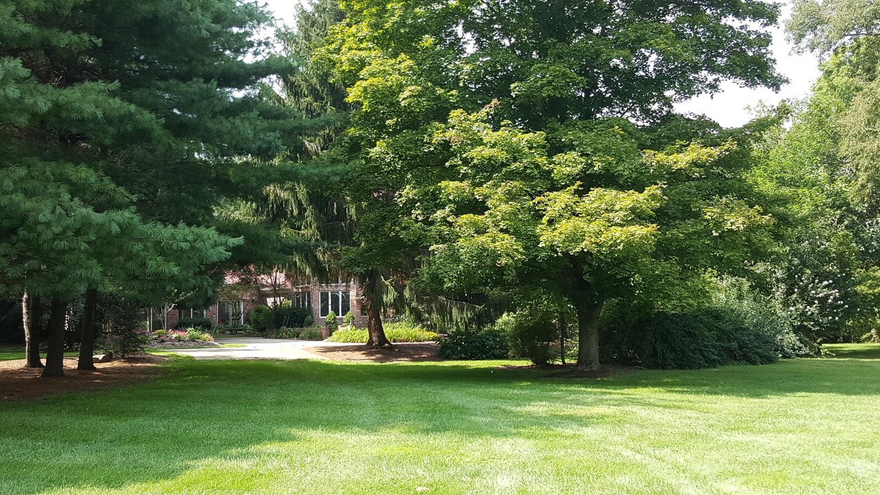 Photo of Outdoor in Homerville