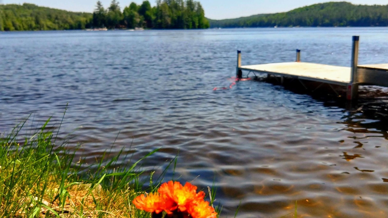 Photo of Outdoor in Chestertown