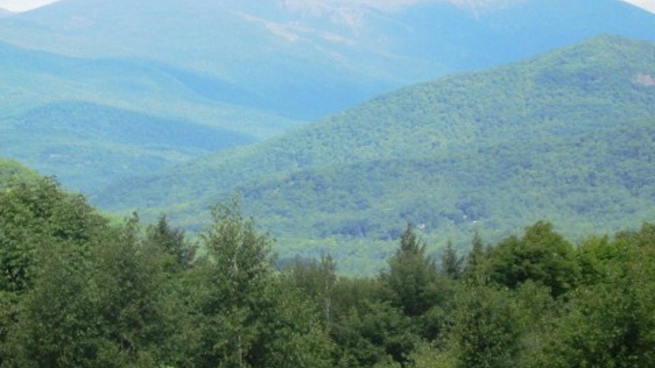 Photo of Others in Jackson