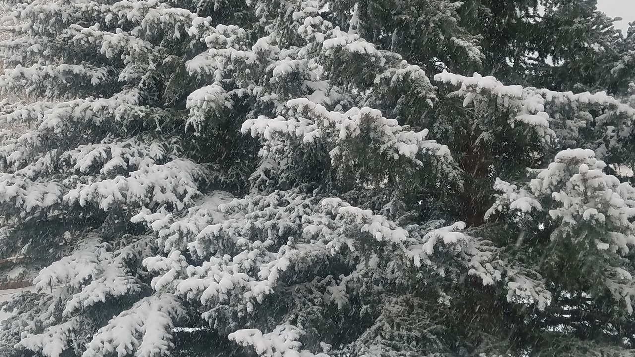 Photo of Outdoor in Lake City