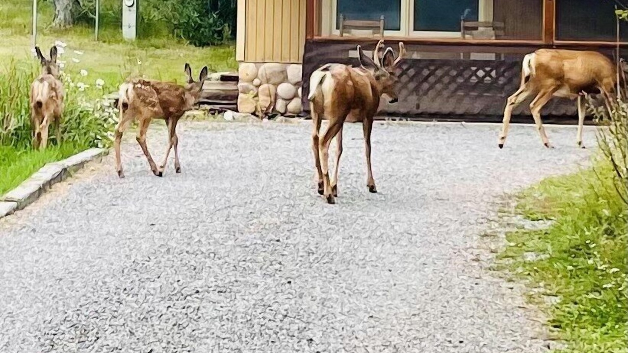 Photo of Outdoor in Lake City