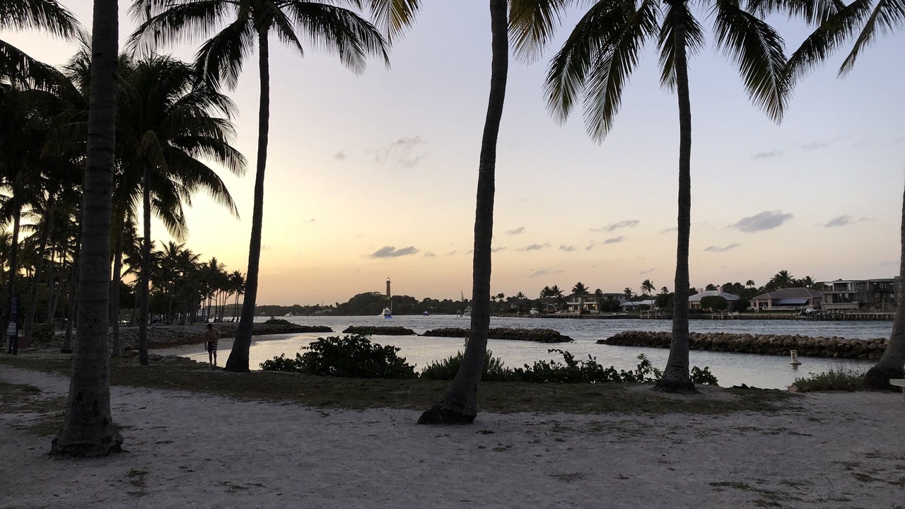 Photo of Others in Juno Beach