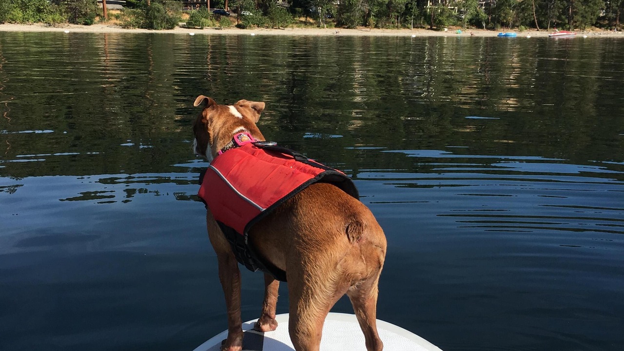 Photo of Others in Central Okanagan