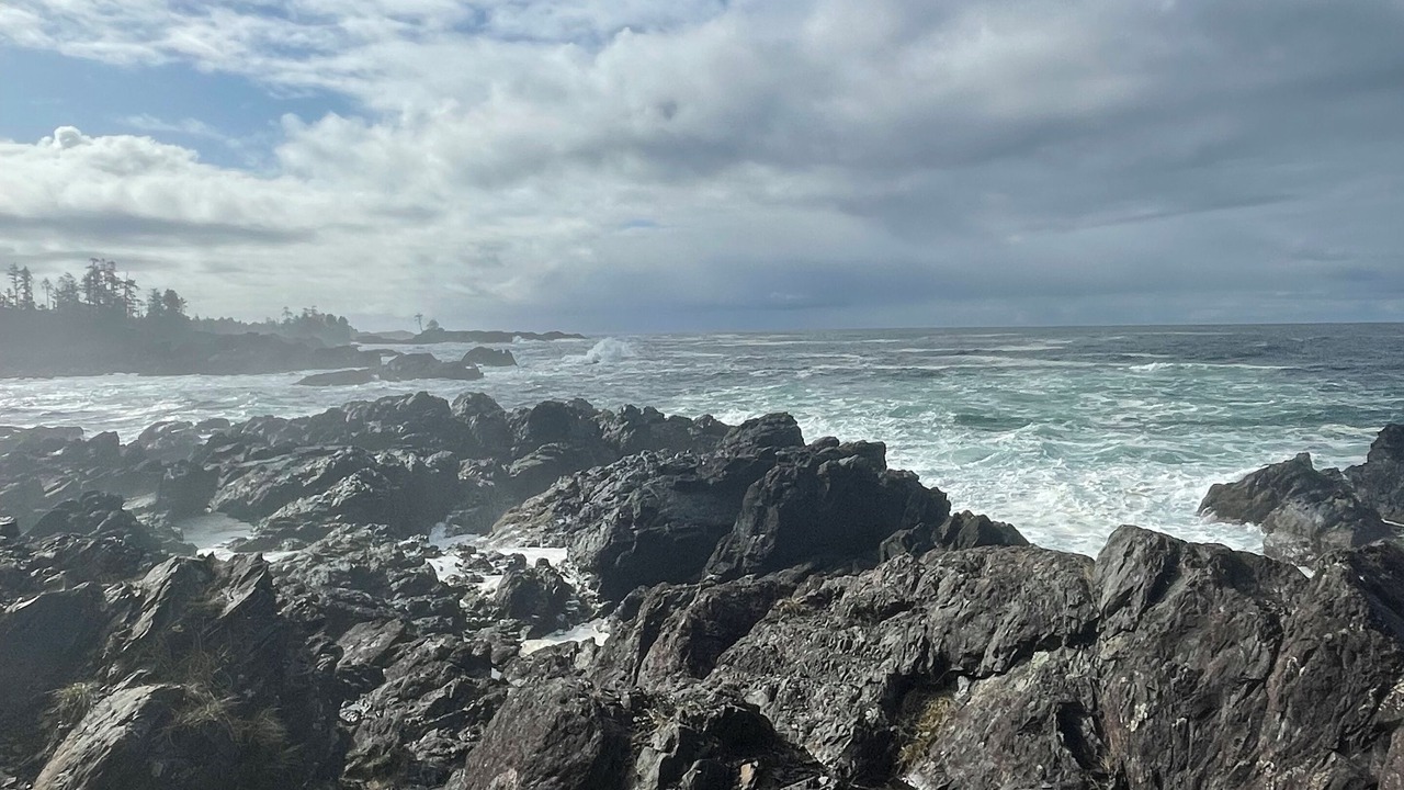 Photo of Others in Ucluelet