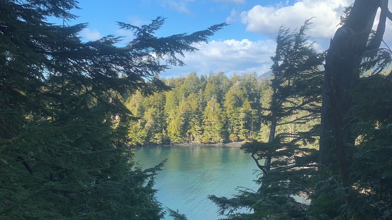Photo of Others in Ucluelet