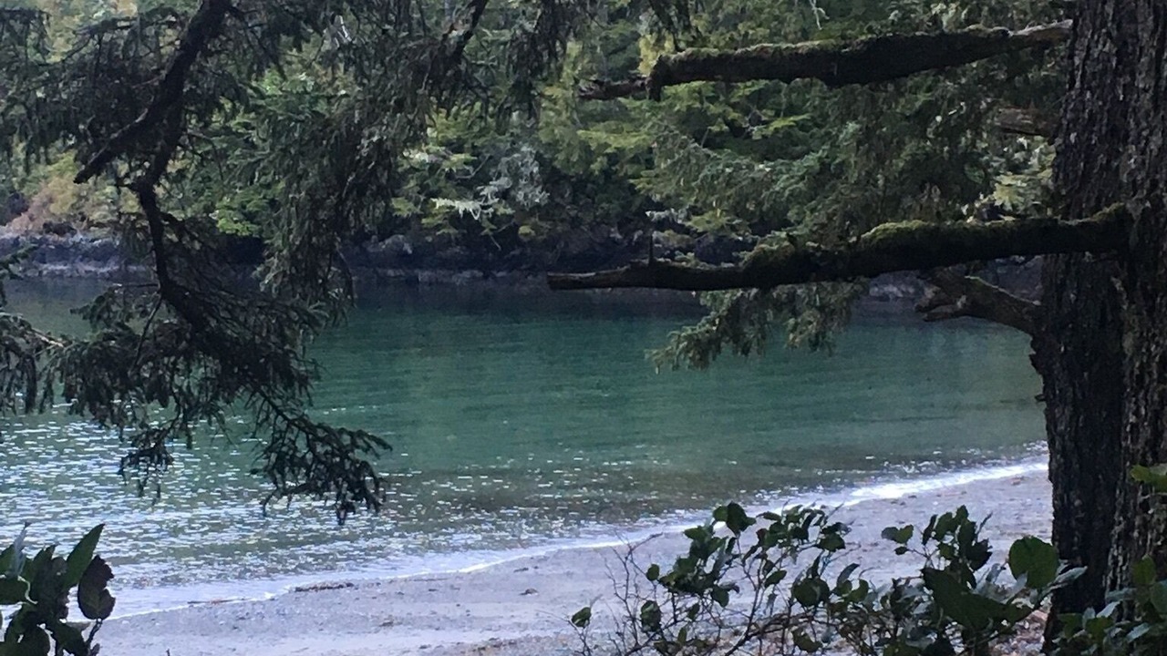 Photo of Others in Ucluelet