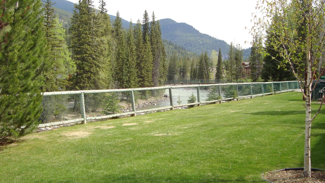 Photo of Others in East Kootenay