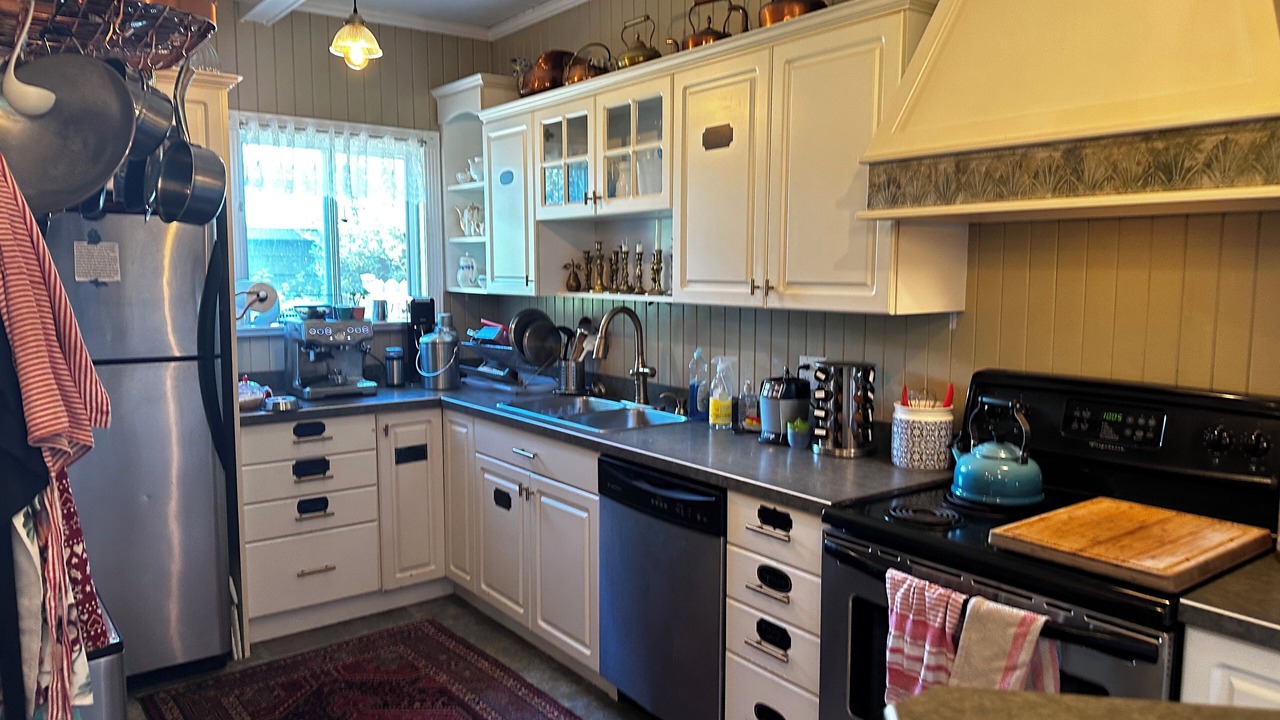 Photo of Kitchen in Slocan