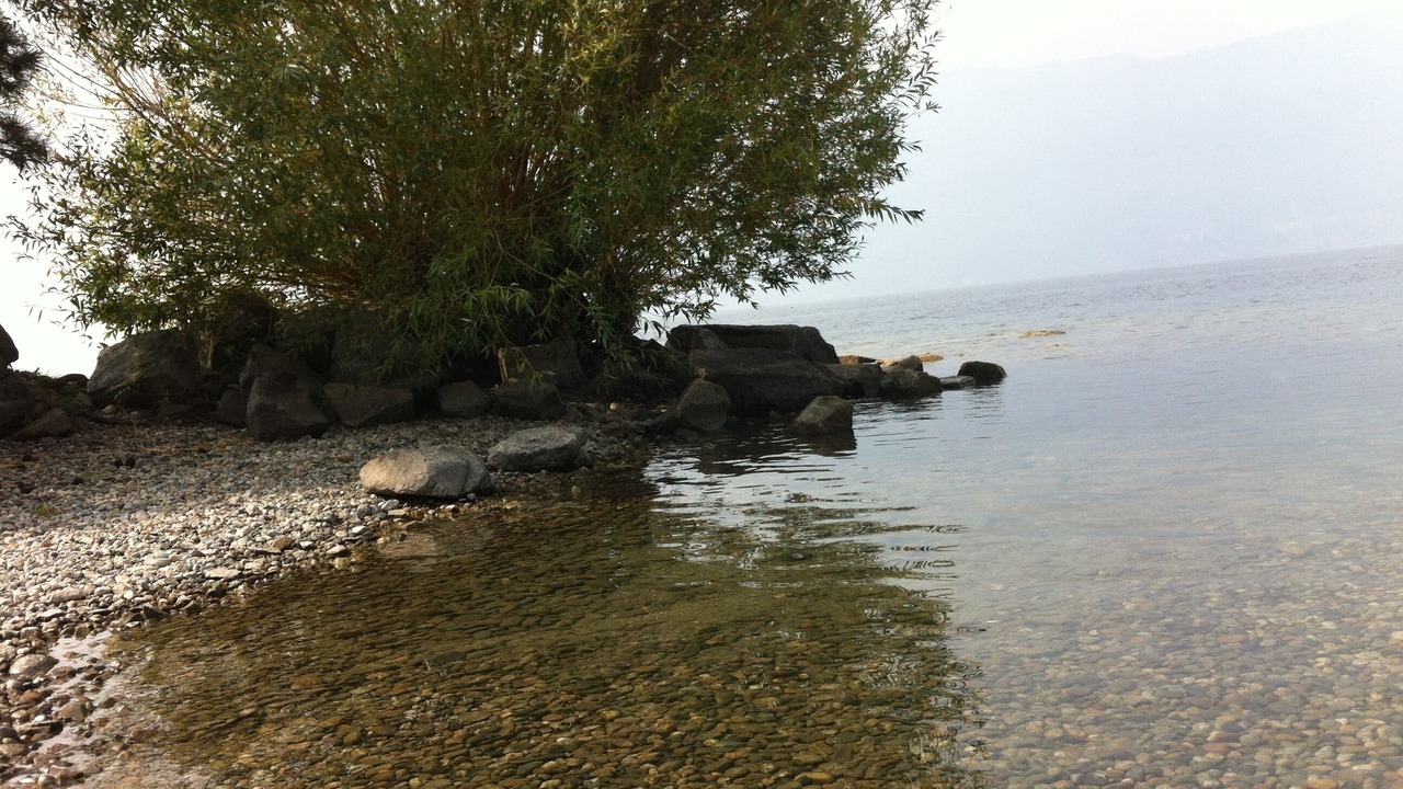 Photo of Others in Central Okanagan
