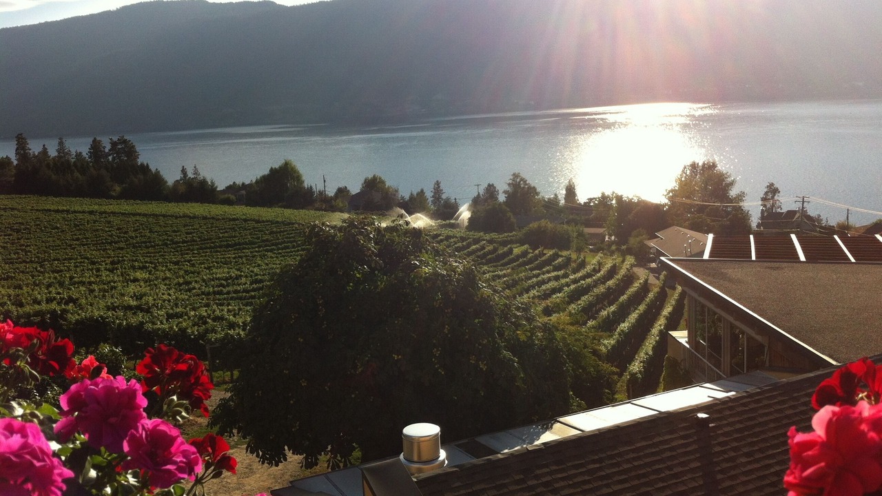 Photo of Others in Central Okanagan