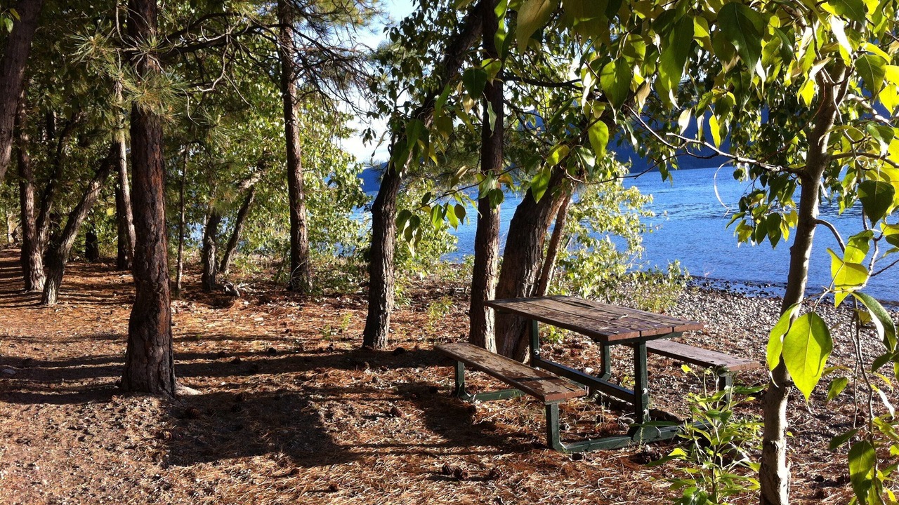 Photo of Others in Central Okanagan