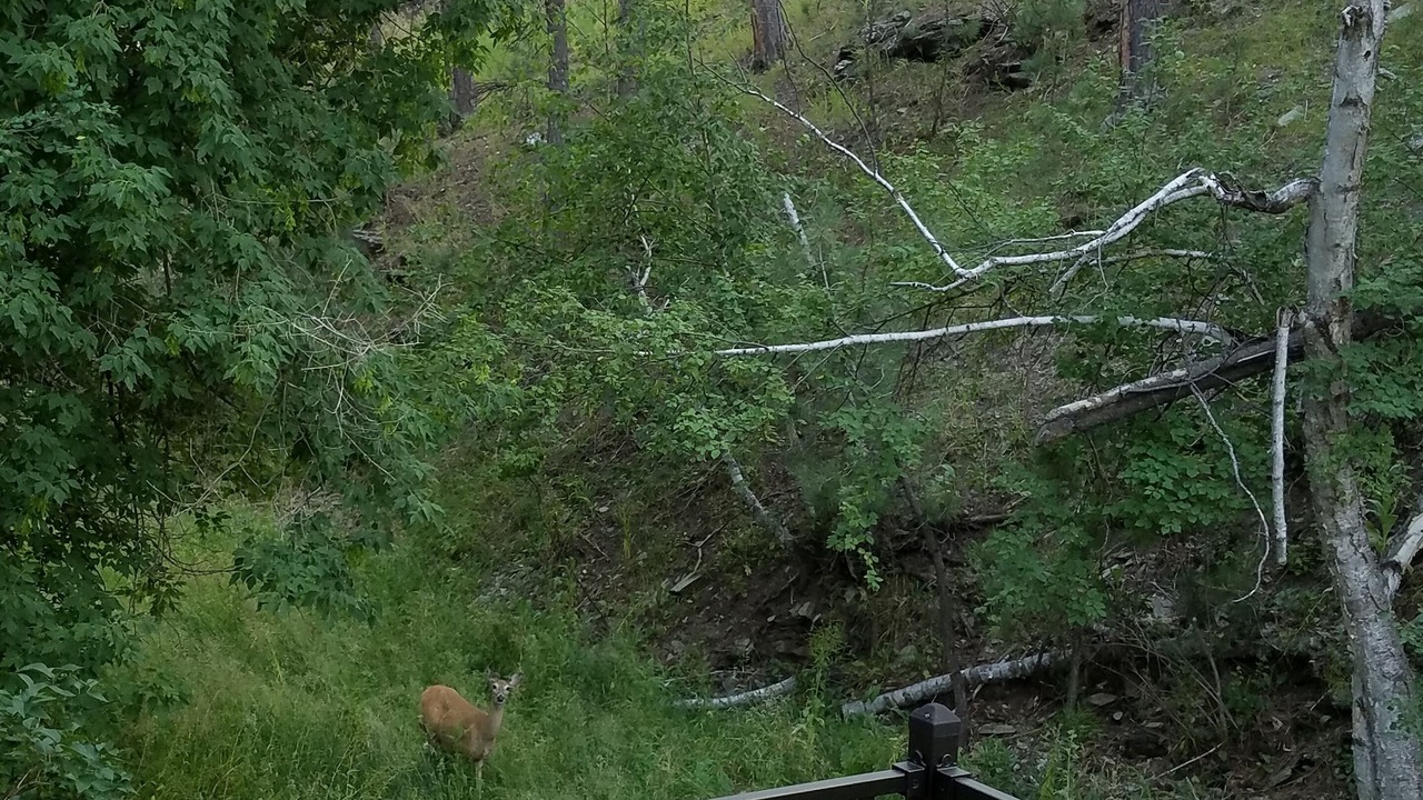 Photo of Outdoor in Rimrock