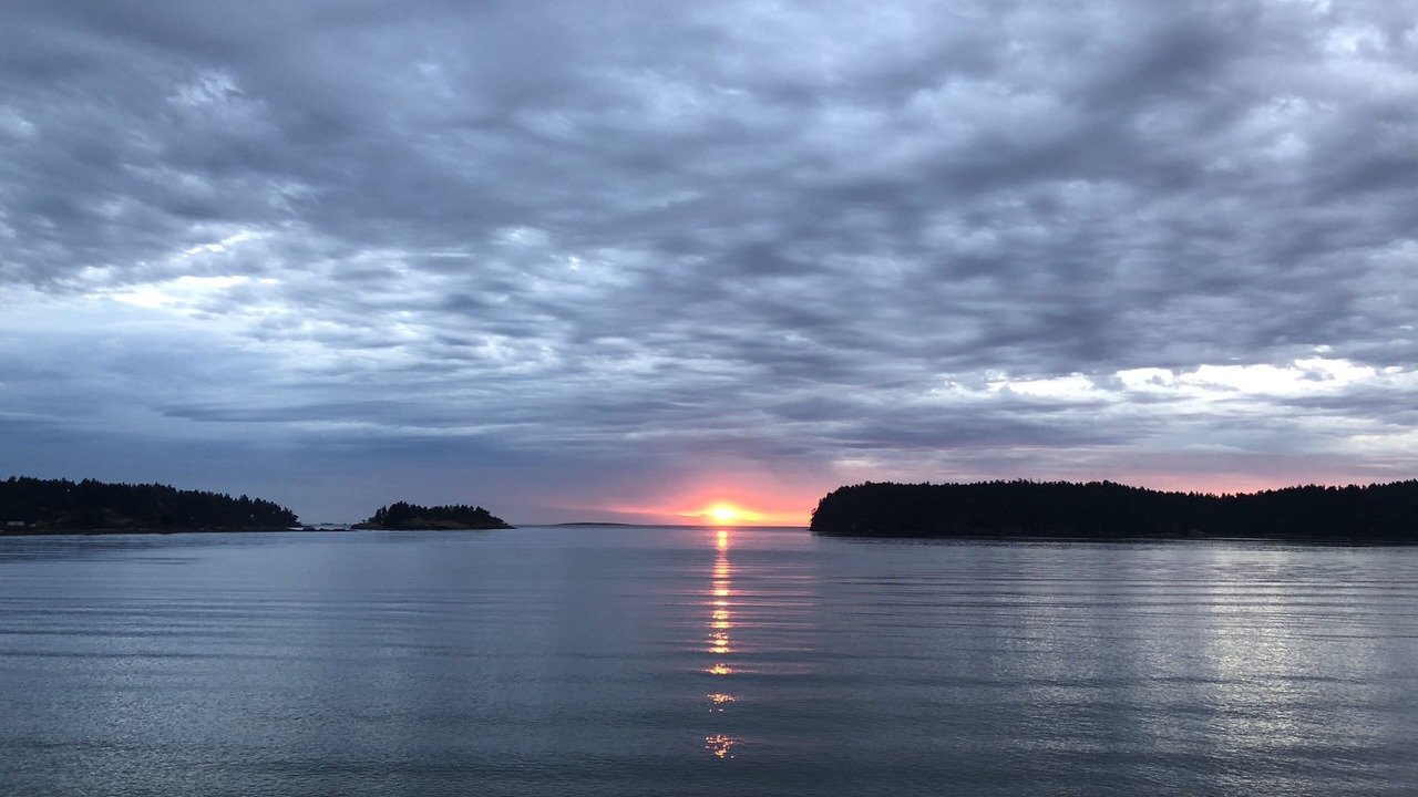 Photo of Others in Departure Bay