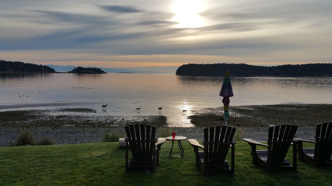Photo of Others in Departure Bay