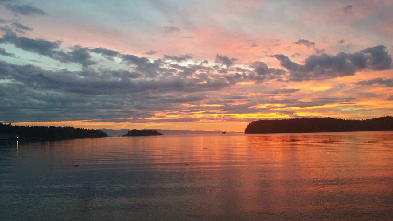 Photo of Others in Departure Bay