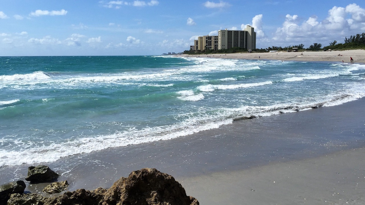 Photo of Others in Jupiter