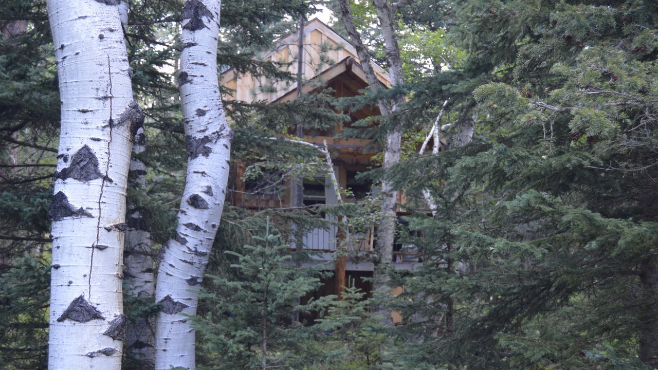 Photo of Others in Deadwood