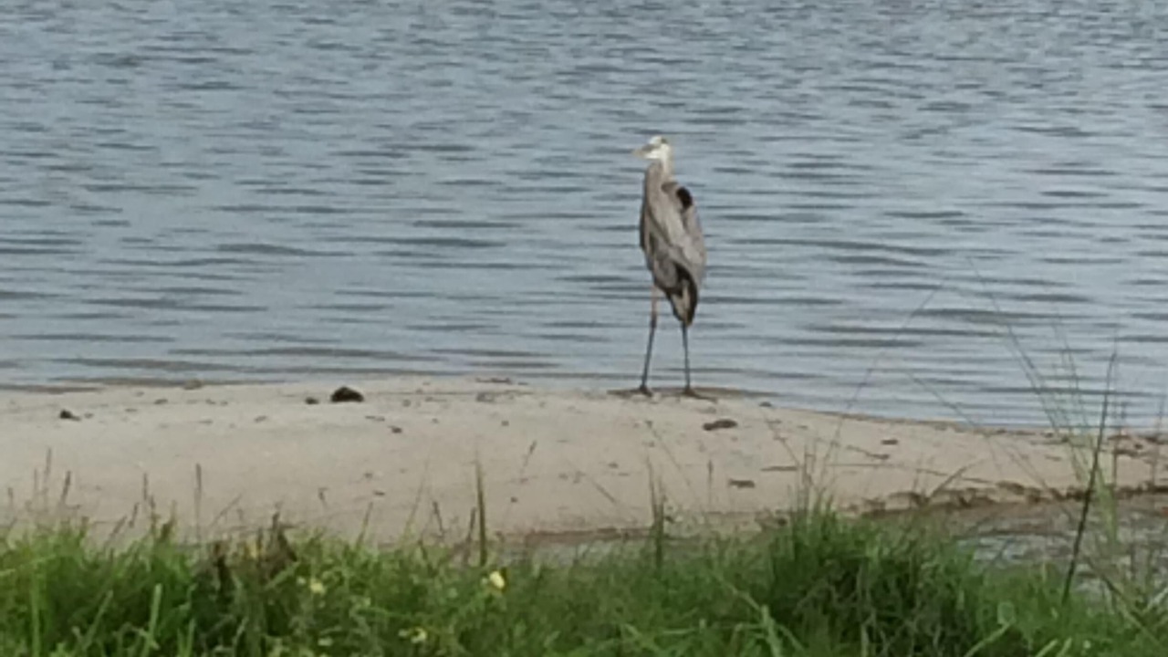 Photo of Others in St. Lucie Village