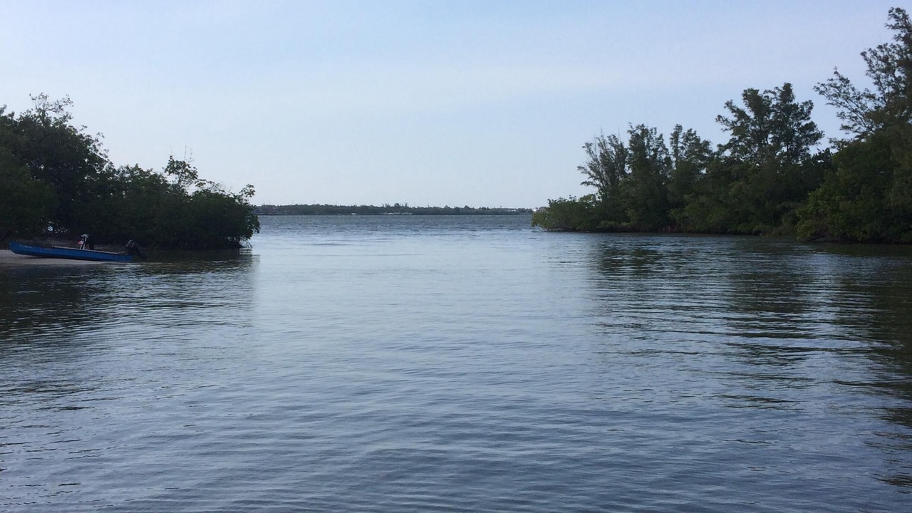 Photo of Others in St. Lucie Village