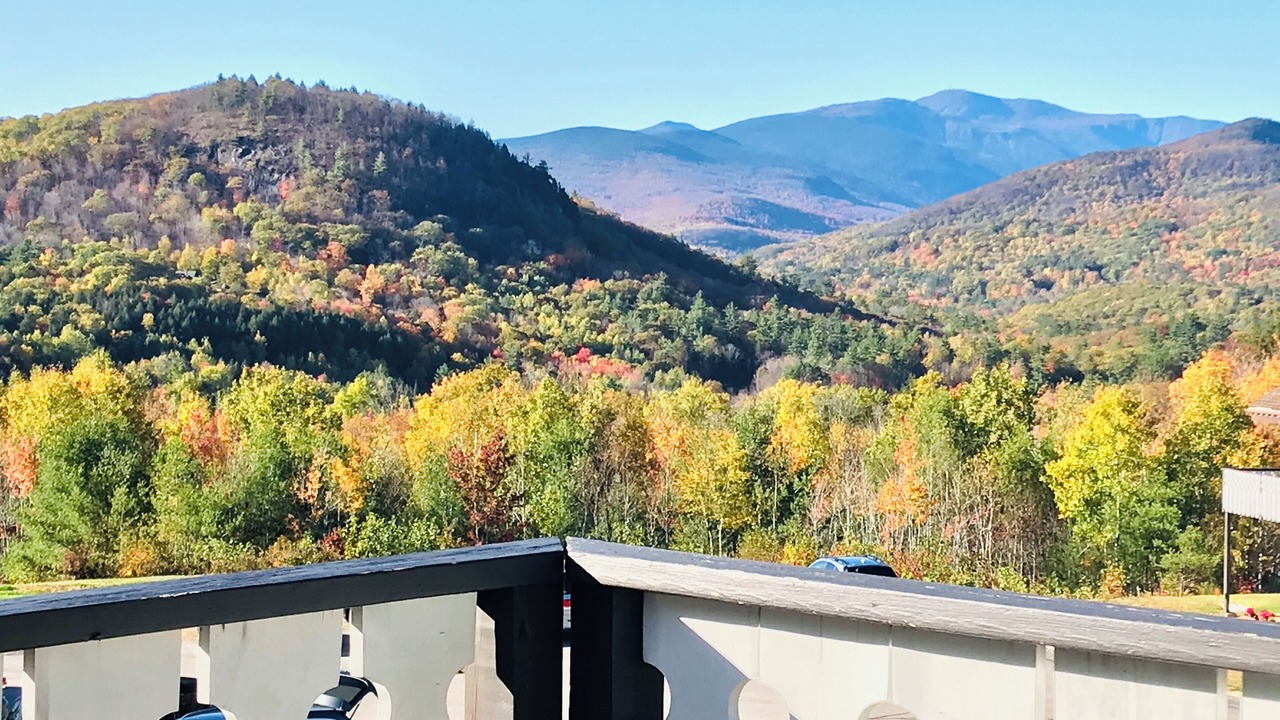 Photo of Outdoor in Jackson