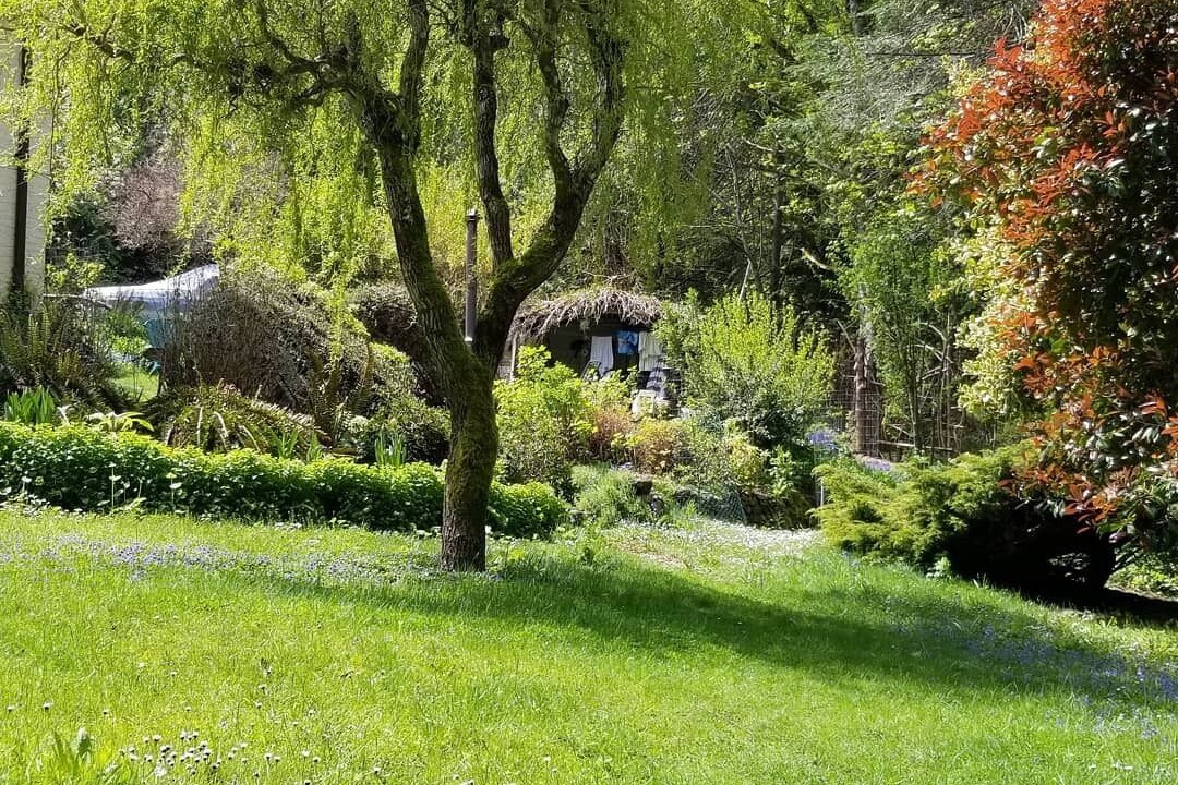 Photo of Outdoor in Metchosin