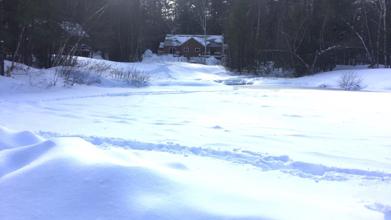 Photo of Others in Bartlett