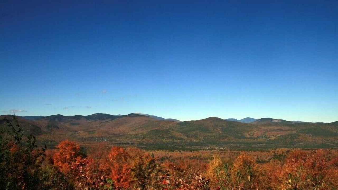 Photo of Others in Bartlett
