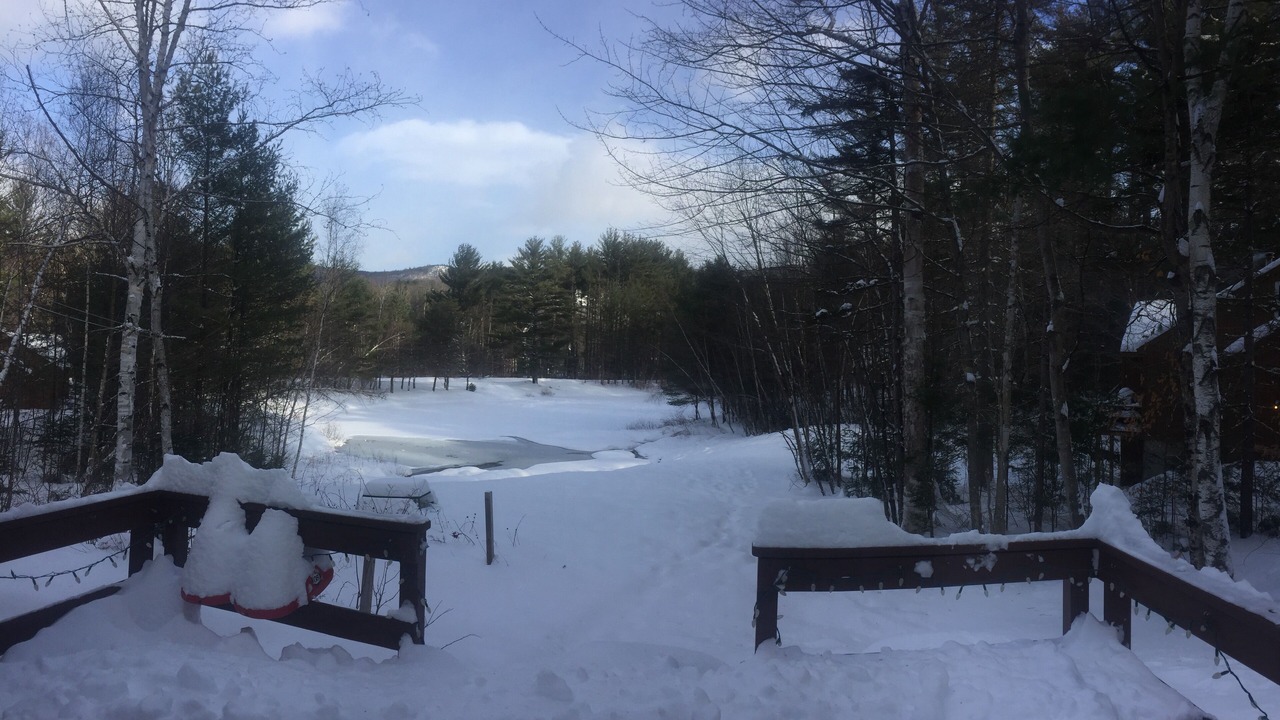 Photo of Outdoor in Bartlett