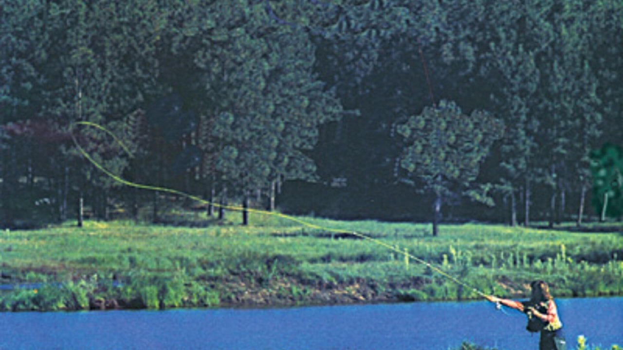 Photo of Outdoor in Red River