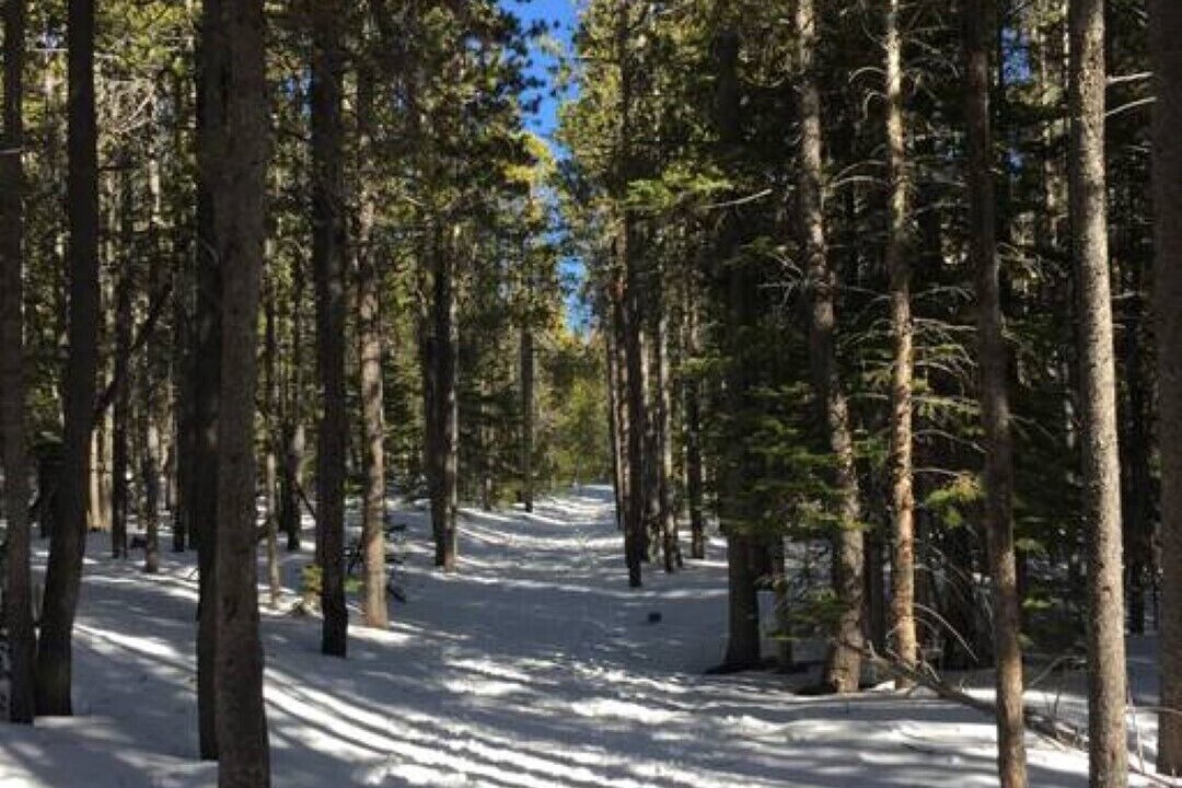 Photo of Others in Estes Park