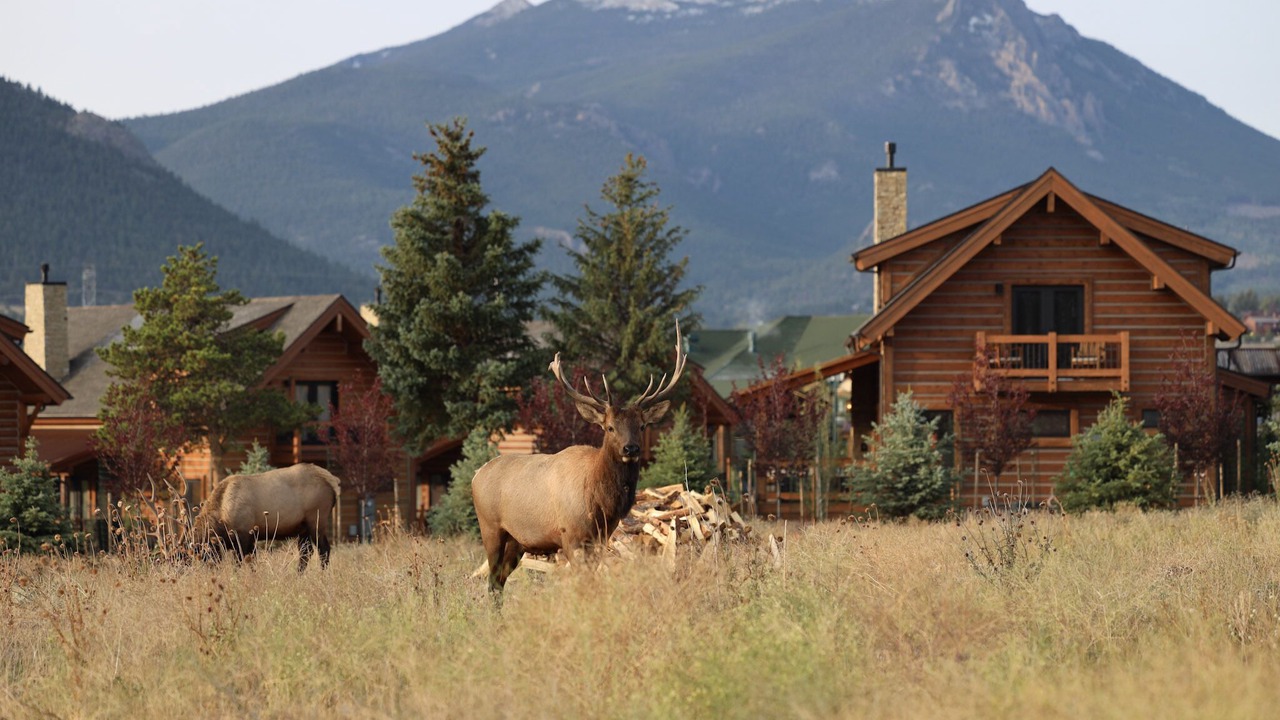 Photo of Outdoor in Estes Park