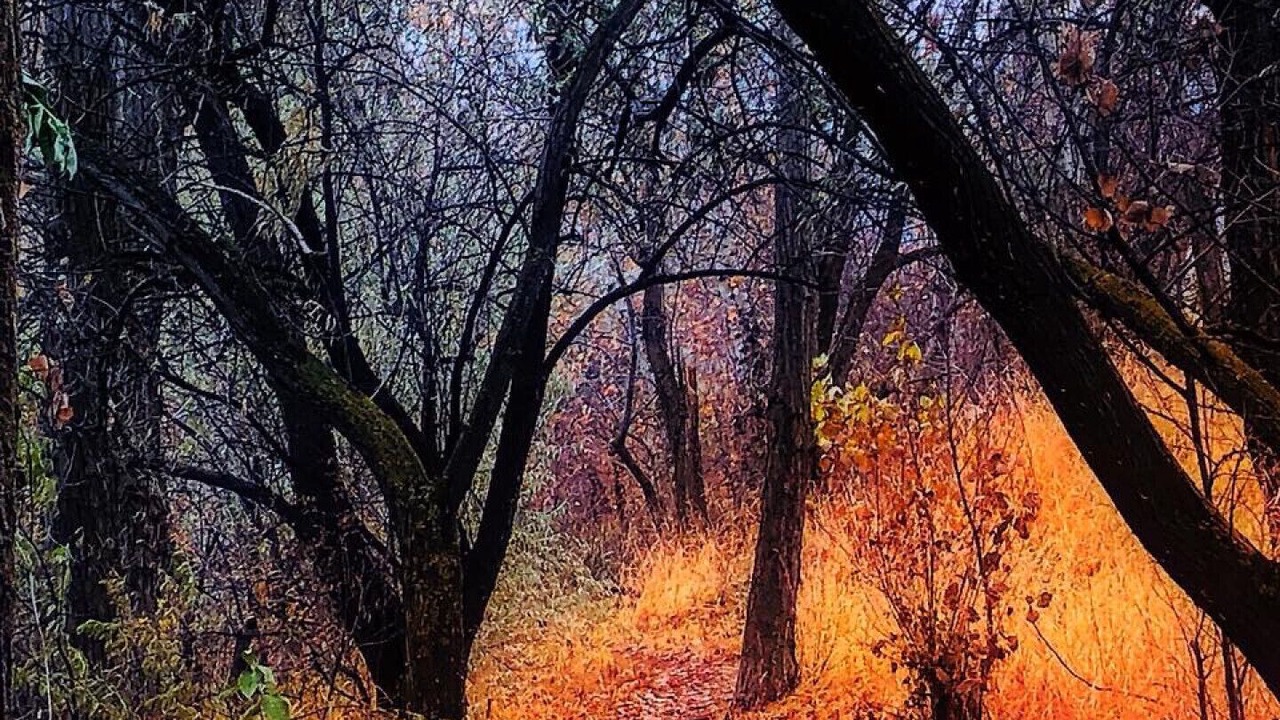Photo of Others in Okanagan-Similkameen