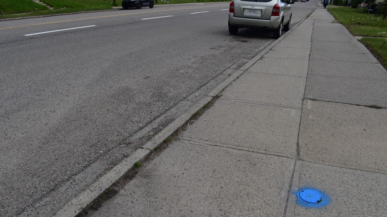 Photo of Others in Highland Park