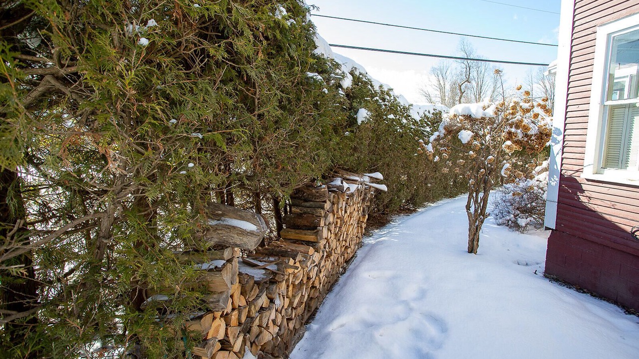 Photo of Outdoor in Moscow