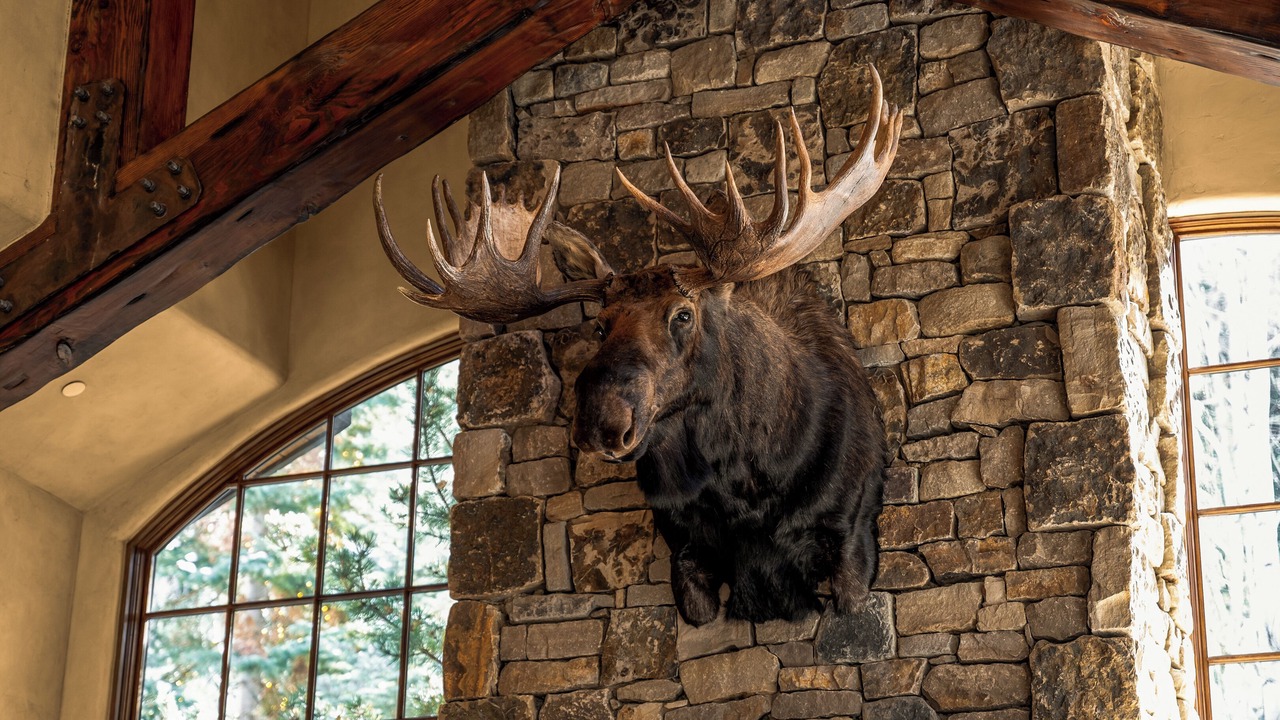 Photo of Others in Aspen