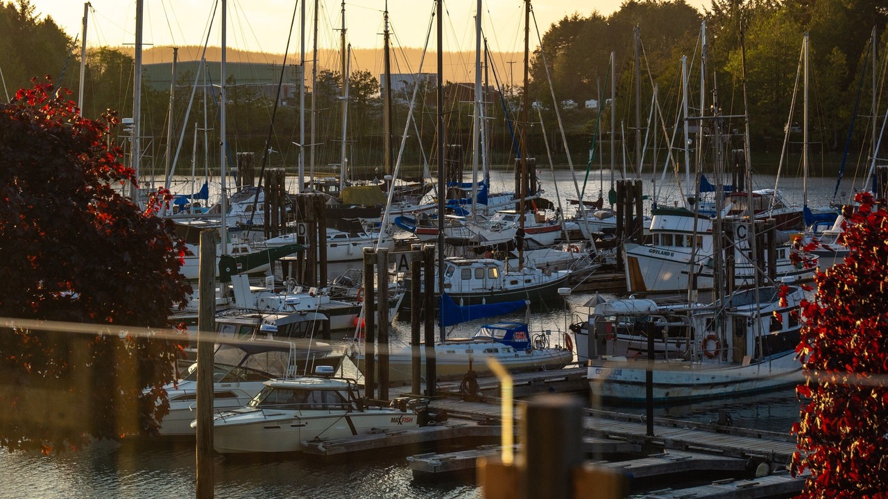 Photo of Others in Ucluelet