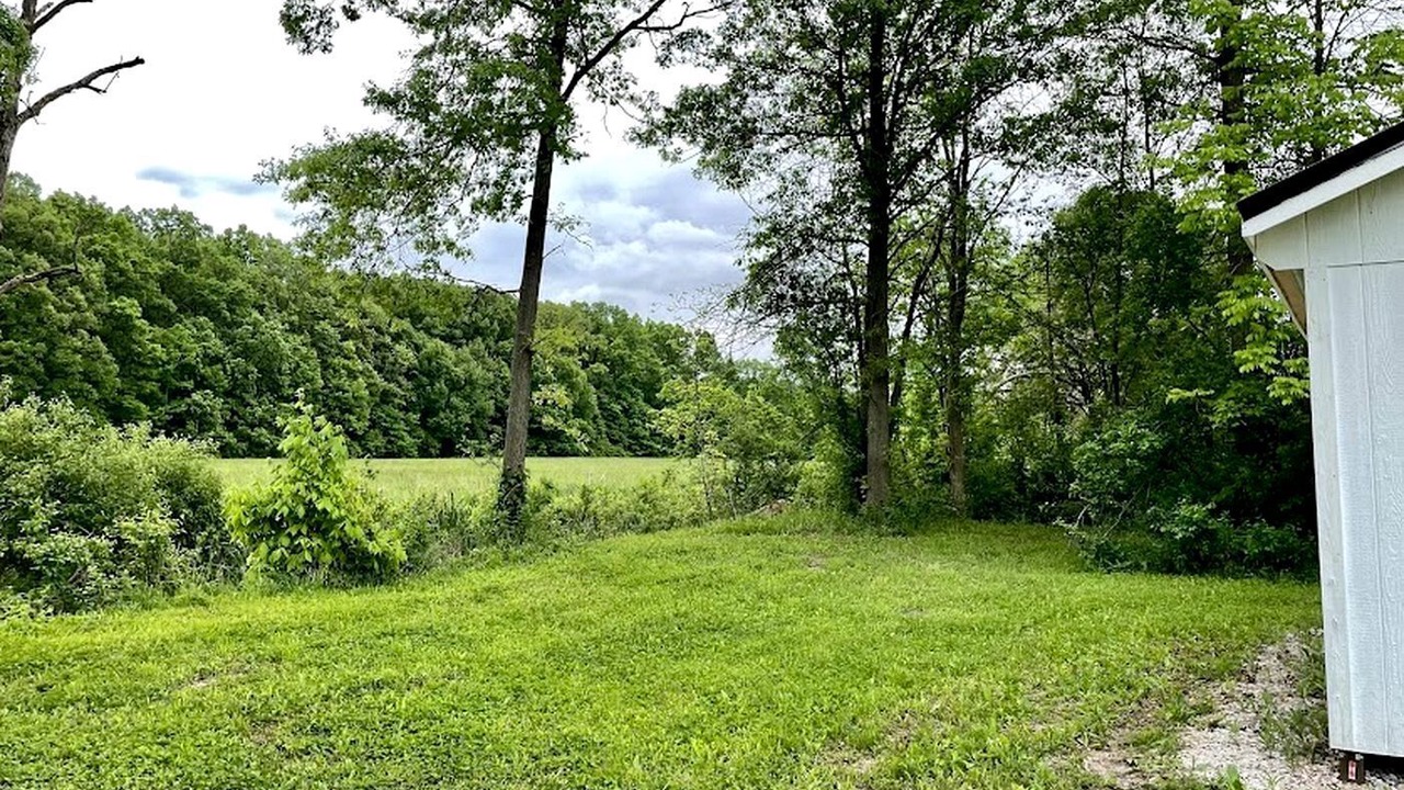 Photo of Outdoor in Oberlin