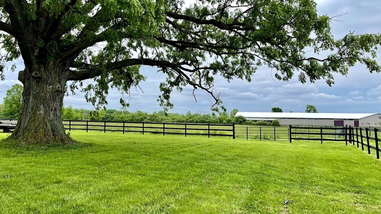 Photo of Outdoor in Oberlin