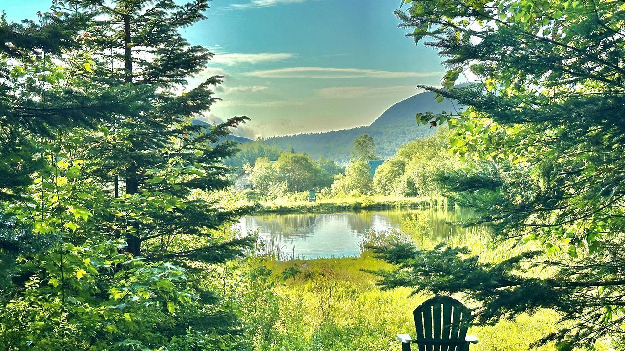 Photo of Outdoor in Barton