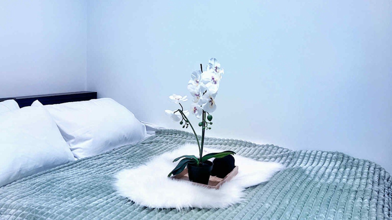 Photo of Bedroom in Highland Park