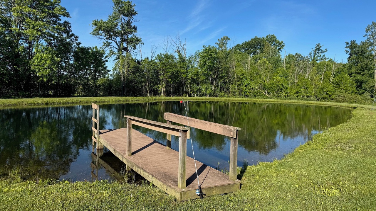 Photo of Others in Homerville