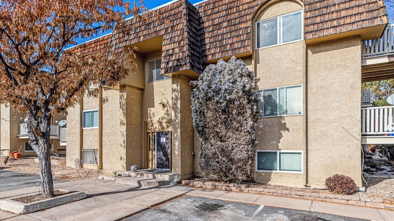 Photo of Outdoor in Hampden South