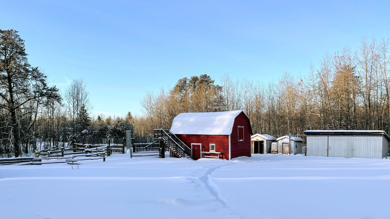Photo of Outdoor in Central Alberta